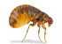 Menu icon