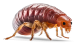 Menu icon